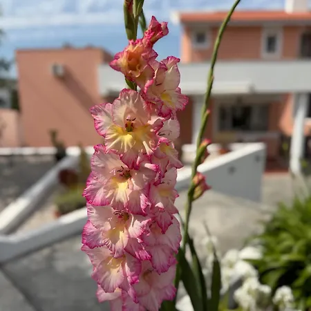 Sunny Minutes From The بيت للعطل *
